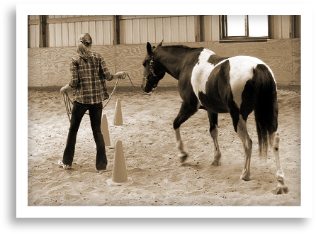 A teenage girl leading a horse around cones.